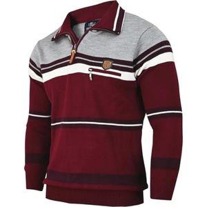 Heren sweatshirt met lange mouwen en poloshirts in katoenmix - Gebreide wintertrui (M tot 3XL)