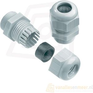 Kabelwartel PG9 – Wit – Voor Ø4–8 mm Kabel – Kunststof 10-stuks