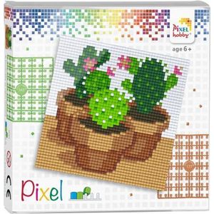 Pixel Set Cactussen 44009