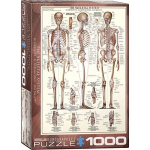 Eurographics puzzel Skeletal System - 1000 stukjes