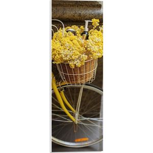 PVC Schuimplaat- Mandje van Gele Fiets Gevuld met Bloeiende Gele Bloemen - 20x60 cm Foto op PVC Schuimplaat