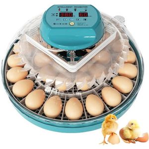 Gran Vida® - Broedmachine - Capaciteit voor 15 Eieren - Gemakkelijk Schoon te Maken - Transparant/Wit