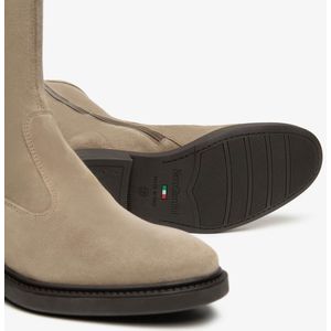 NeroGiardini  Arold Tr Pomezia 9741/004  Laarzen  dames Grijs