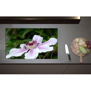 Inductieplaat Beschermer - Clematis Flordie Bloemen in het Wit met Paarse Details - 85x51 cm - 2 mm Dik - Inductie Beschermer - Bescherming Inductiekookplaat - Kookplaat Beschermer van Wit Vinyl