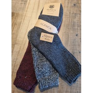 3 Paar - Alpaca Wollen Sokken - Maat 39-42 - Wintersokken - Huissokken