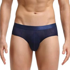 Heren Slip Transparant - Slip Doorzichtig Donkerblauw - Sexy Mesh Design - Mannen Onderbroek - Lingerie Voor Mannen - Ondergoed Maat XXXL / 3XL