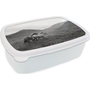 Broodtrommel Wit - Lunchbox - Brooddoos - Paarden - Gras - Bergen - 18x12x6 cm - Volwassenen