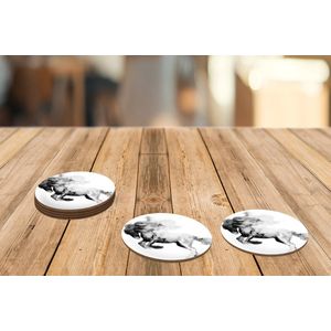 Onderzetters voor glazen - Rond - Schilderij - Paard - Dieren - Olieverf - Zwart - Wit - 10x10 cm - Glasonderzetters - 6 stuks