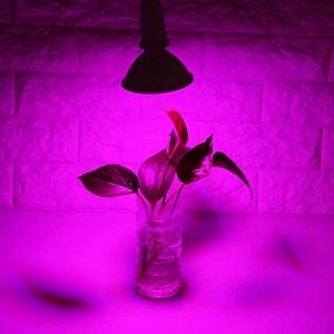 24W-E27 LED Grow Lamp Volledig Spectrum Kas Hydrocultuur - Groente en Bloem Plantlamp 85~265V Groeilamp