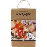 Crepe Papier Ontdekken Kit, 105 gr, Diverse Kleuren, 1 Set