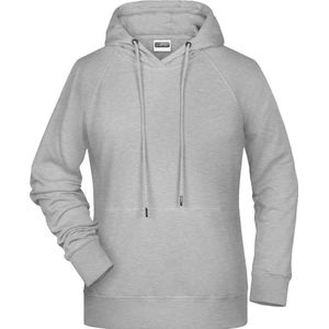 James and Nicholson Dames/dames Raglan Sleeved Hoodie (Grijze Heide)