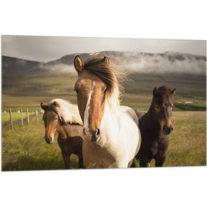 WallClassics - Vlag - Drie Paarden op een Heuvel - 105x70 cm Foto op Polyester Vlag
