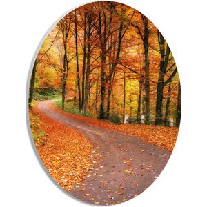 PVC Schuimplaat Ovaal - Bospad door Herfstbos vol met Herfstkleuren - 21x28 cm Foto op Ovaal (Met Ophangsysteem)