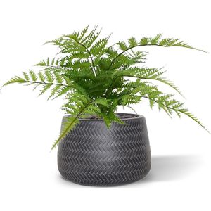 Pteris Varen kunstplant 30cm