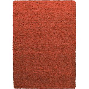 Ayyildiz - Life - Vloerkleed - Terra - Hoogpolig - 60x110 cm