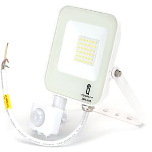 Buitenlamp wit | LED 20W~200W traditionele verlichting | met IR-bewegingssensor | IP65 6500K 230V