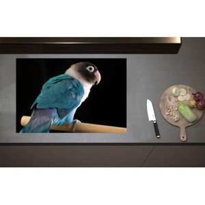 Inductieplaat Beschermer - Blauw met Wit en Zwart Gekleurde Vogel op Standaard - 80x55 cm - 2 mm Dik - Inductie Beschermer - Bescherming Inductiekookplaat - Kookplaat Beschermer van Wit Vinyl