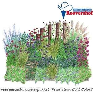 Borderpakket 'Cold Colors' - prairietuin - 47 planten - 7-8 m² - exclusief palen