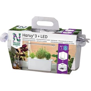 Nelson Garden Harvy® 3 hydrocultuursysteem voor drie Planten - Komplete Starter Set inklusief Led Lamp en Lamp-Ophangsysteem, Plantenvoeding en Basilicum en Sla Zaden