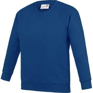 Awdis Academie Kinderen/Kinderen Bemanningsleden Hals Raglan School Sweatshirt (Diep koninklijk)