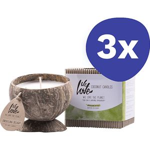 We Love The Planet Kokosnoot Kaars Darjeeling Delight (3 stuks)