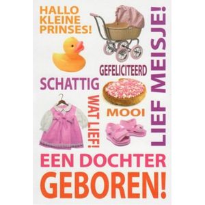 Een dochter geboren! Hartelijk gefeliciteerd! Een bijzondere kaart met mooie spreuken en een vrolijke badeend. Beschuit met muisjes, babyschoentjes, kleding en een kinderwagen. Een dubbele wenskaart inclusief envelop en in folie verpakt.