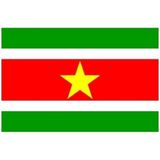 Mini vlag Suriname 60 x 90 cm