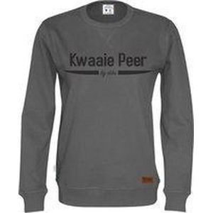Kwaaie Peer Sweater Grijs | Maat S