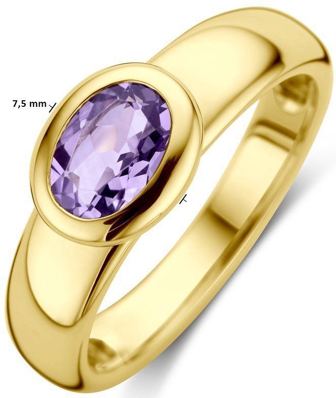 Ring Amethist 14K Geelgoud