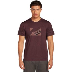Icebreaker - Merino 150 Tech Lite S/S Tee In The Wild - Merinoshirt - Bruin