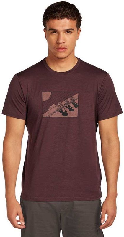 Icebreaker - Merino 150 Tech Lite S/S Tee In The Wild - Merinoshirt - Bruin