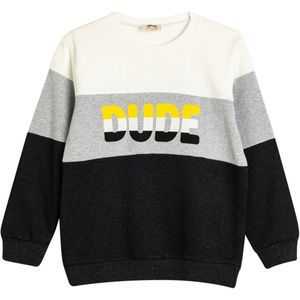 Ronde kraag Met kleurblokken Sweatshirt