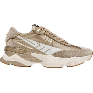 Steve Madden - Setback-R - Sneaker - Goud