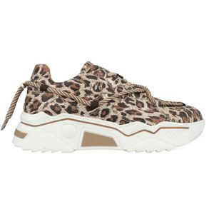 DWRS Jupiter Leopard Glimmer J5554C-91-8411 Beige-39