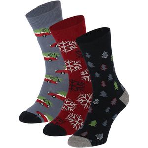 Apollo - Kerstsokken Heren - 2 x giftbox 3-pack - MT42-47