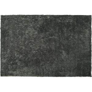 EVREN - Shaggy Vloerkleed - Donkergrijs - 140 X 200 cm - Polyester