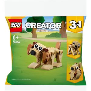 LEGO Creator 30666 - Cadeaudieren (polybag) - LEGO Hond, Beer of Eekhoorn