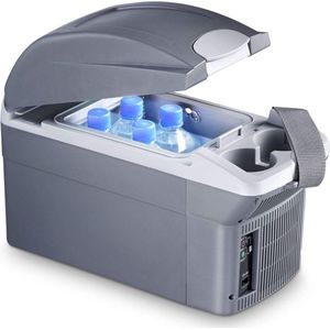 DailySupplies® Koelbox - Elektrische Koelbox 12 en 230 Volt - Koeltas Auto - Grijs