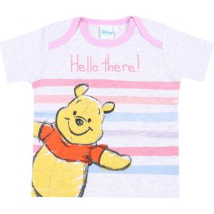 Beige en roze Winnie de Poeh Disney T-shirt