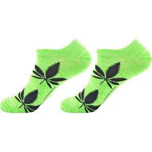 Robin Ruth - Enkel sokjes 2 pack - Wiet - Dames sok - Maat 36-42