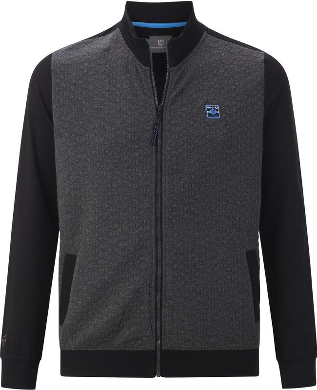 Jan Vanderstorm - LARSHEIM - Sweatvest - Grijs