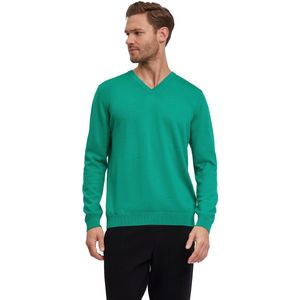 FALKE Basic New Merino V-Neck elegante klassieker wol trui heren groen - maat XXL