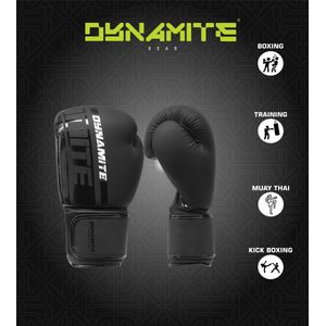 Dynamite Kickboxing Bokshandschoenen Handschoenen Zwart/Wit Matt 14oz