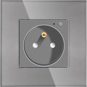 Enkel 230V ZigBee stopcontact met energiemeting Grijs met glazen frame