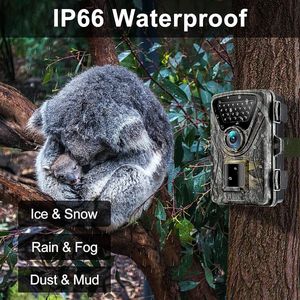 Equivera Wildcamera voor Buiten - Wildcamera - Met Nachtzicht - Wildlife Camera - Bewegingsdetector - Hoge Kwaliteit Beeld