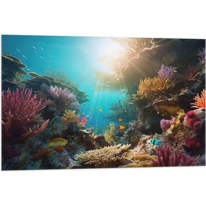 Vlag - Onderwater - Oceaan - Zee - Koraal - Vissen - Kleuren - Zon - 90x60 cm Foto op Polyester Vlag