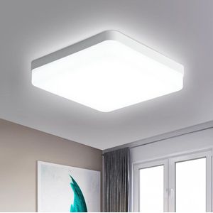 Delaveek - Vierkante LED Plafondlamp - Wit - 24W - Wit 6500K - 18*4cm