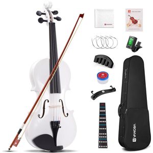 Volwassenen 4/4 Akoestische Viool Set - Beginners Viool voor Studenten - Inclusief Vioolkoffer, Colofonium, Schoudersteun, Stemapparaat, Snaren, Vioolstok, Toetsenbordsticker