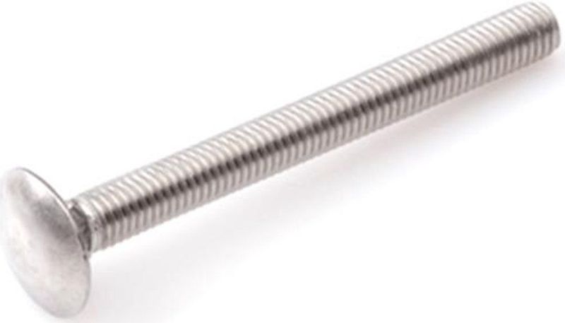 Slotbout - M5 x 30 mm - DIN603 - RVS - 100 stuks