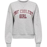 ONLY - Onljo ls print box bf swt - Grijze Melee Sweater - Dames